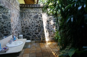 Allie's bathroom - complete with garden IN the shower!