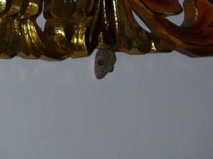 "Big Boy" sticking his head out from his favorite hiding place.