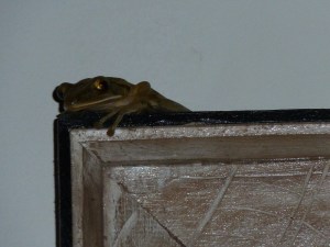Frog on a picture in the dining room